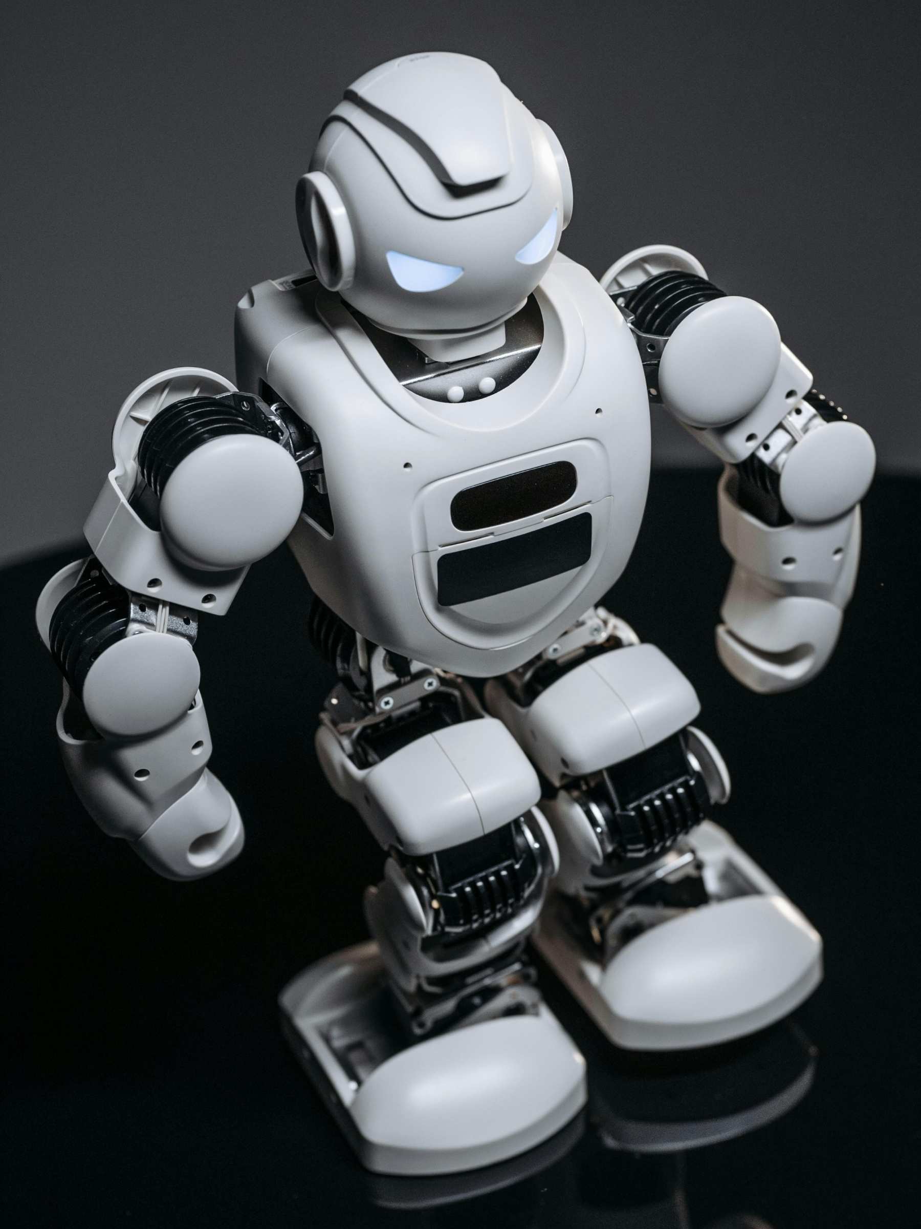 Robo Seven for Lorem Ipsum & Dolor Amet