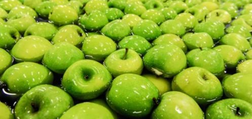 L'Ozone dans le lavage des fruits et légumes