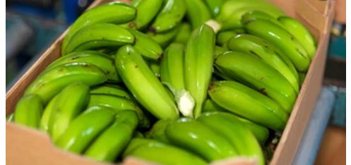 L'Ozone dans le lavage des fruits et légumes