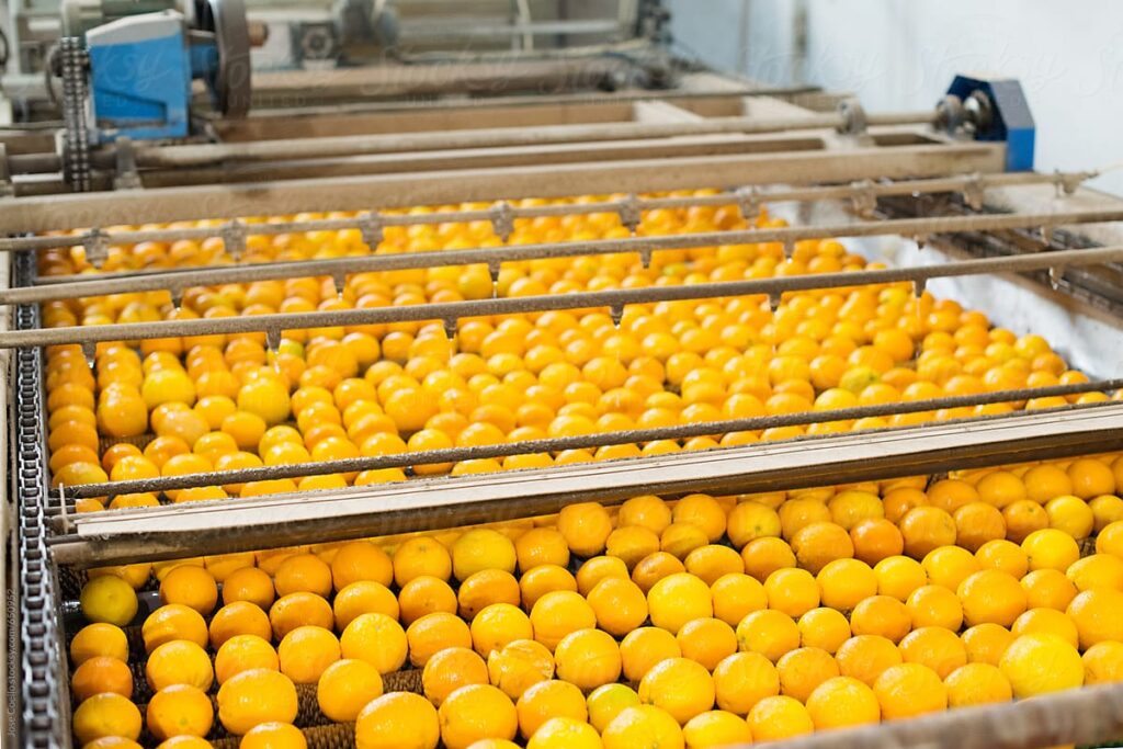 L'Ozone dans le lavage des fruits et légumes