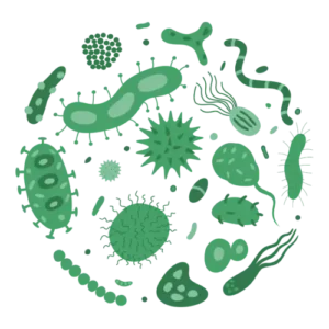 Qu'est ce que le photoplasma de BioZone? Comment agit-il? 9 Qu'est ce que le photoplasma de BioZone? Comment agit-il?