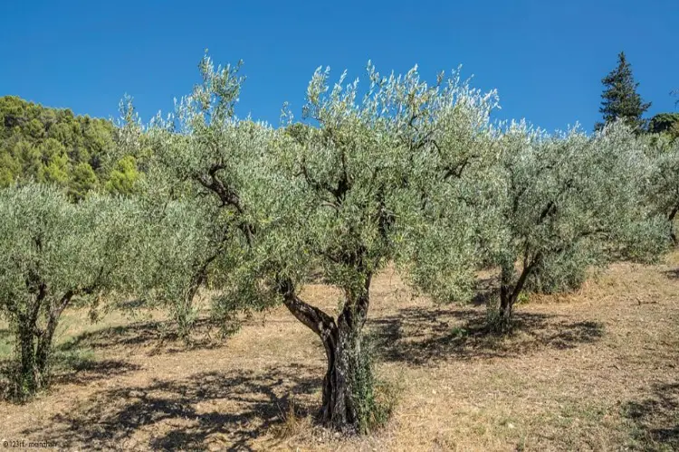 Traitement de l'eau 3 Traitement de l'eau