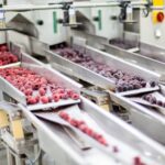 Nettoyeurs Vapeur pour l'hôtellerie 20 prolonger la durée de vie des fruits et légumes